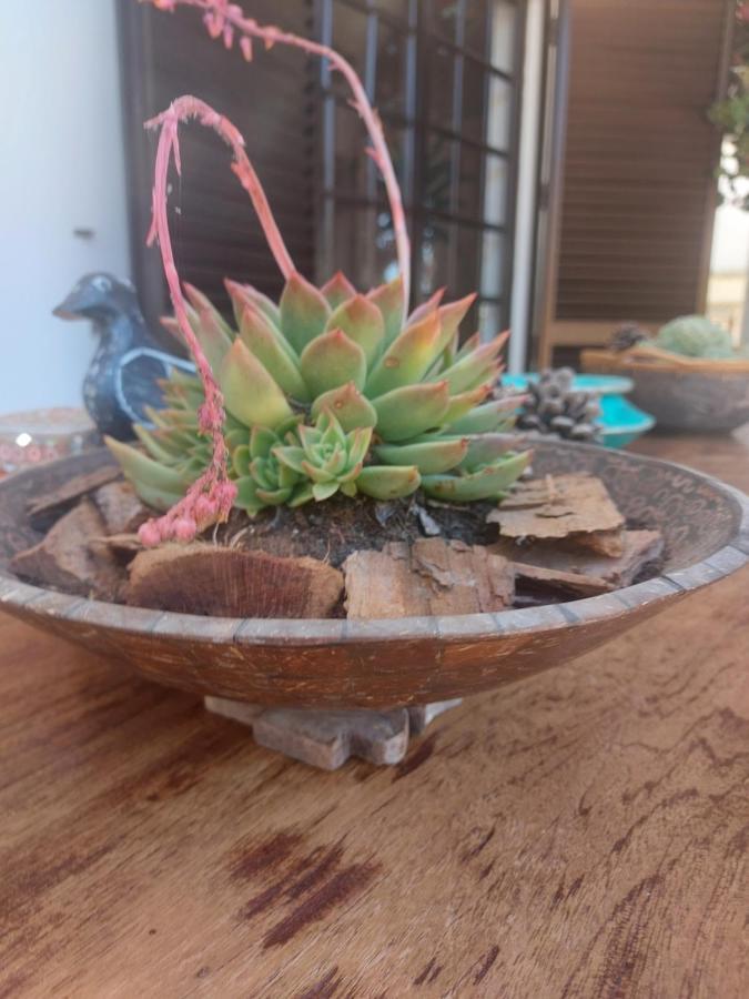 Casa 19 Leilighet Albufeira Eksteriør bilde