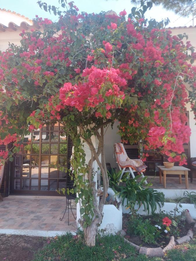 Casa 19 Leilighet Albufeira Eksteriør bilde