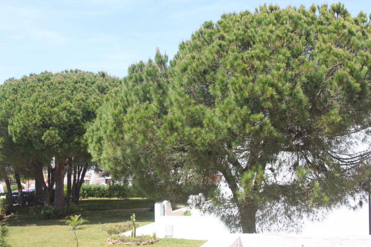 Casa 19 Leilighet Albufeira Eksteriør bilde